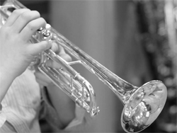 trumpet